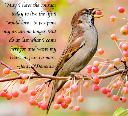 Screen Shot 2017-12-04 at 9.20.55 PM.png