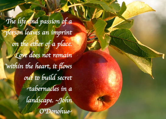 Screen Shot 2017-12-04 at 9.25.31 PM.png