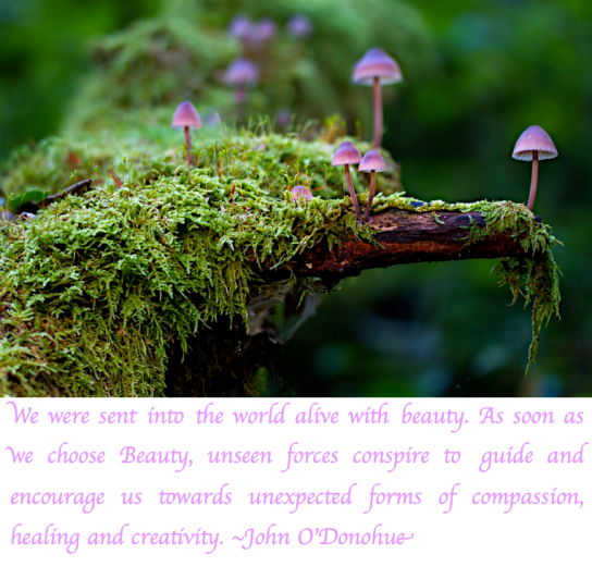 Screen Shot 2017-12-04 at 9.27.49 PM.png