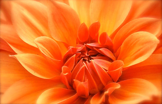 Screen Shot 2017-12-07 at 10.06.00 PM.png