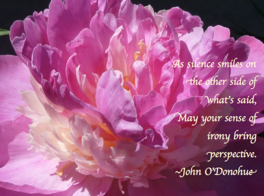 Screen Shot 2017-12-08 at 1.30.21 AM.png