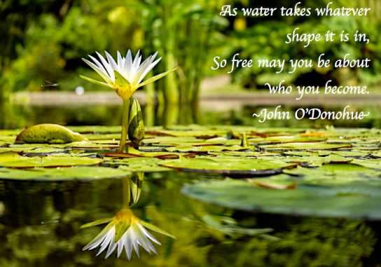 Screen Shot 2017-12-08 at 1.41.25 AM.png