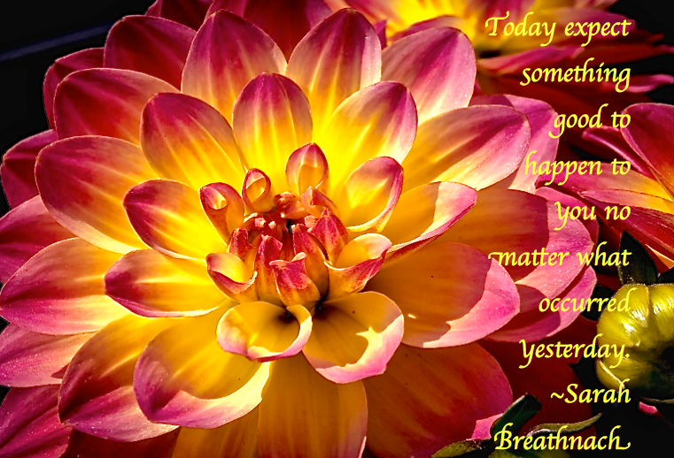 Screen Shot 2017-12-08 at 10.53.24 PM.png