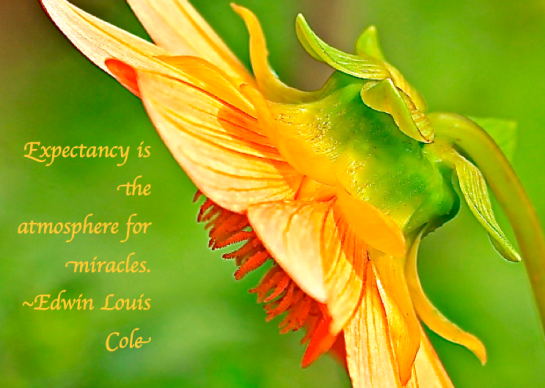 Screen Shot 2017-12-08 at 8.33.19 PM.png