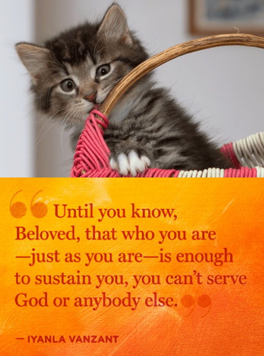 Screen Shot 2017-12-10 at 10.27.23 PM.png