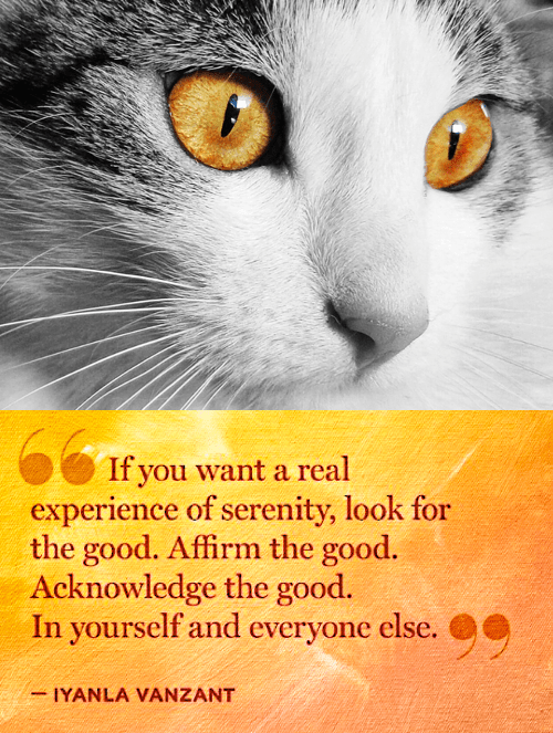 Screen Shot 2017-12-10 at 10.29.31 PM.png