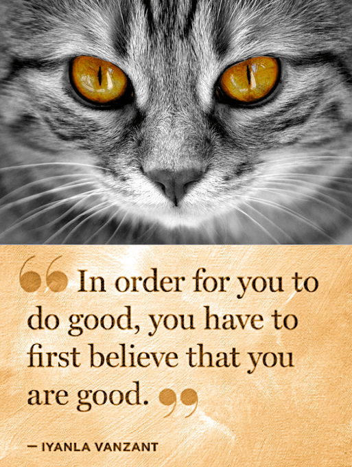 Screen Shot 2017-12-10 at 10.31.15 PM.png