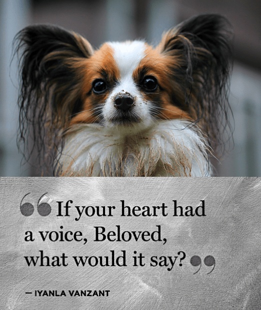 Screen Shot 2017-12-10 at 10.35.59 PM.png