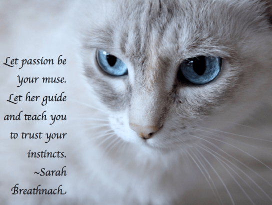 Screen Shot 2017-12-10 at 10.38.53 PM.png