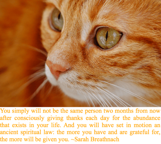 Screen Shot 2017-12-10 at 10.47.41 PM.png