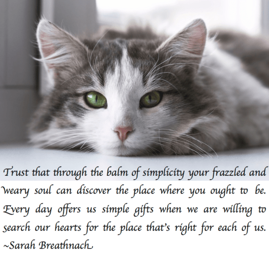 Screen Shot 2017-12-10 at 10.51.18 PM.png