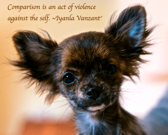 Screen Shot 2017-12-10 at 8.43.04 PM.png