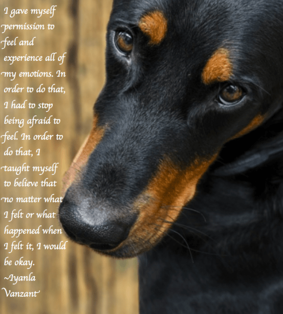 Screen Shot 2017-12-11 at 11.03.45 PM.png