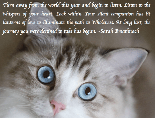 Screen Shot 2017-12-11 at 11.09.58 PM.png