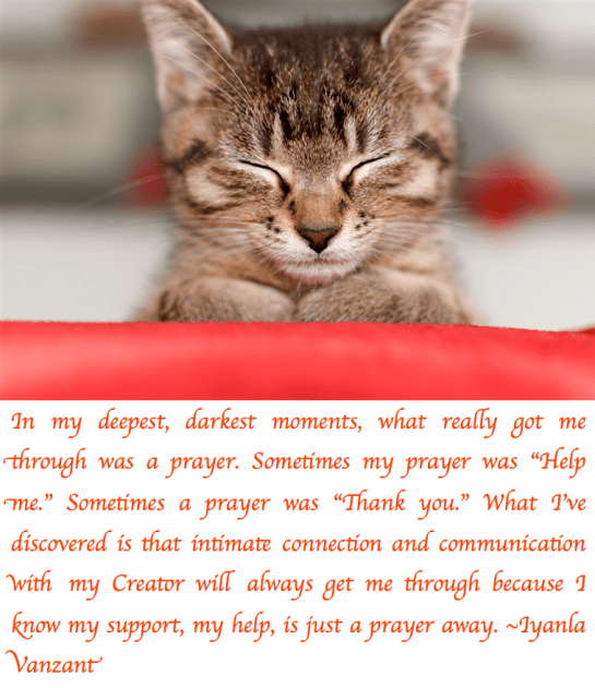 Screen Shot 2017-12-11 at 11.16.16 PM.png