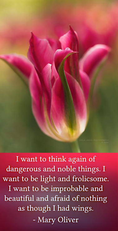 Screen Shot 2017-12-13 at 11.09.28 PM.png