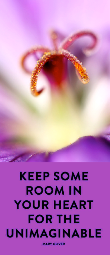 Screen Shot 2017-12-13 at 11.13.38 PM.png