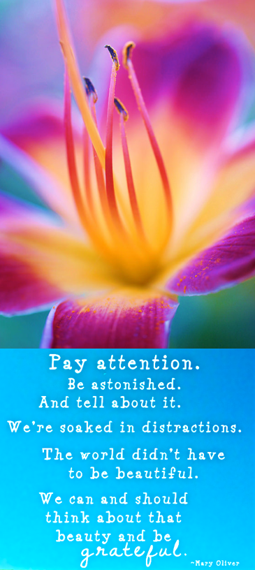 Screen Shot 2017-12-13 at 11.15.43 PM.png