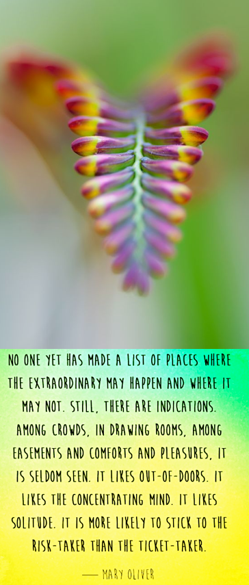 Screen Shot 2017-12-13 at 11.19.20 PM.png