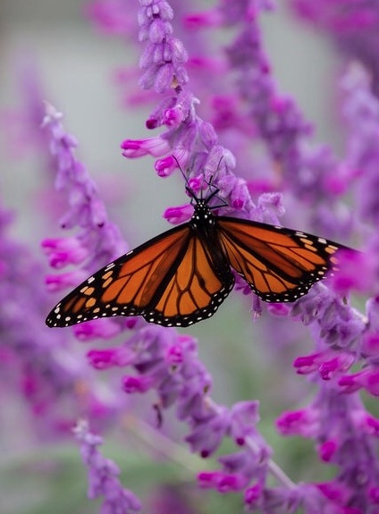 Screen Shot 2017-12-13 at 9.16.49 PM.png