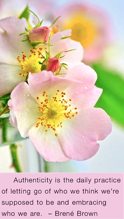 Screen Shot 2017-12-15 at 9.03.22 PM.png