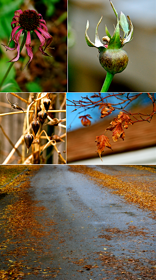 Screen Shot 2017-12-16 at 4.29.08 PM.png