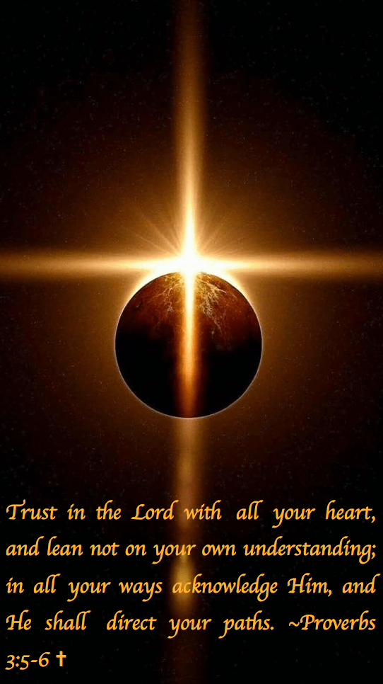 Screen Shot 2017-12-17 at 8.32.24 AM.png