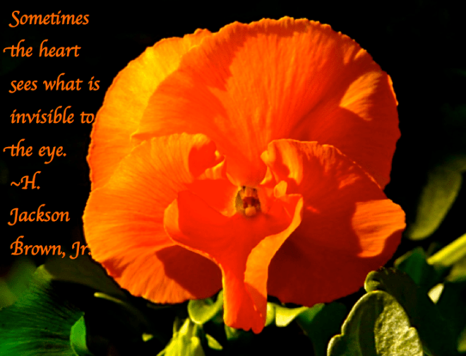 Screen Shot 2017-12-18 at 10.59.19 PM.png