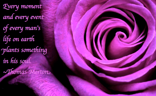 Screen Shot 2017-12-18 at 11.03.00 PM.png