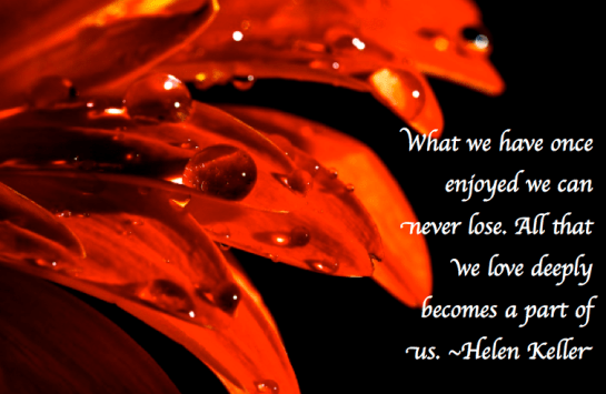 Screen Shot 2017-12-18 at 11.17.45 PM.png