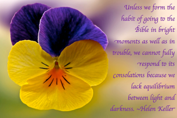 Screen Shot 2017-12-18 at 11.20.36 PM.png