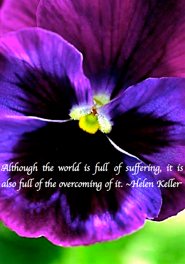 Screen Shot 2017-12-18 at 11.23.04 PM.png