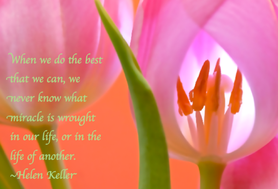 Screen Shot 2017-12-18 at 11.28.23 PM.png