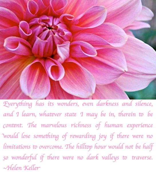 Screen Shot 2017-12-18 at 11.31.39 PM.png