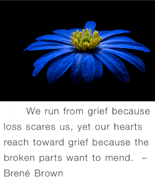 Screen Shot 2017-12-21 at 10.20.28 PM.png