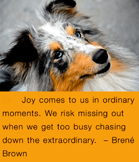 Screen Shot 2017-12-21 at 10.30.43 PM.png