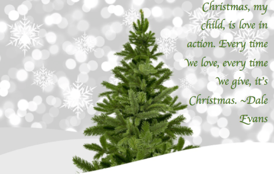 Screen Shot 2017-12-21 at 11.14.46 AM.png