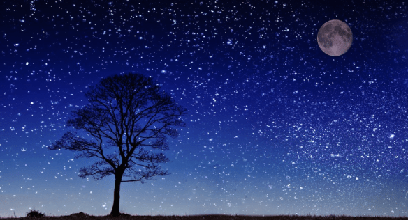 Screen Shot 2017-12-22 at 8.35.02 PM.png