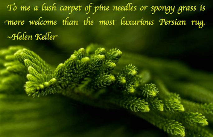 Screen Shot 2017-12-26 at 11.11.01 PM.png