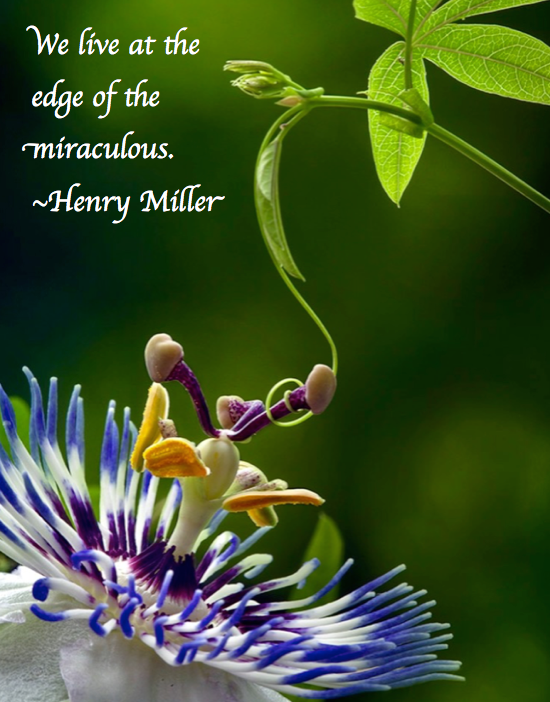 Screen Shot 2017-12-26 at 8.00.54 PM.png