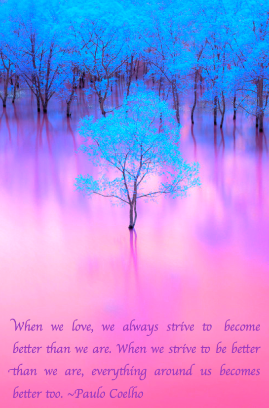 Screen Shot 2017-12-27 at 11.28.56 PM.png