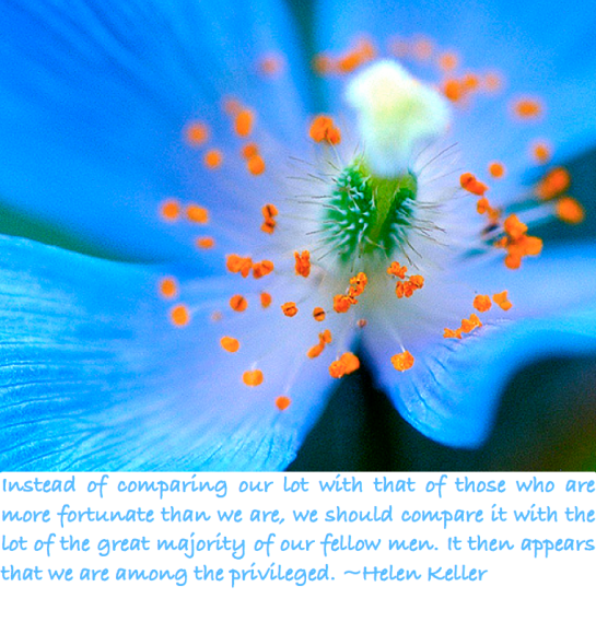 Screen Shot 2017-12-28 at 11.20.30 PM.png