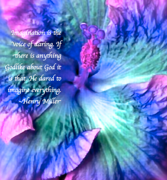 Screen Shot 2017-12-28 at 11.24.11 PM.png