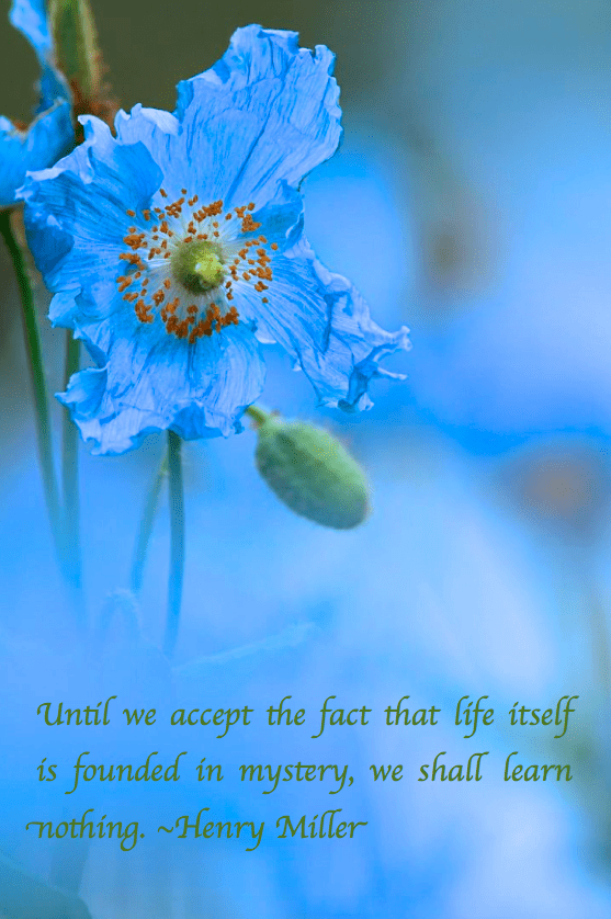 Screen Shot 2017-12-28 at 11.26.24 PM.png