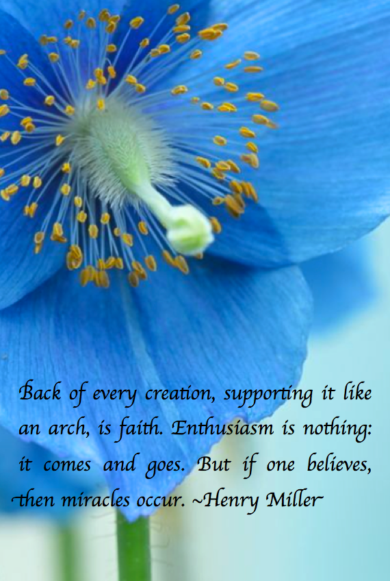 Screen Shot 2017-12-28 at 11.29.41 PM.png