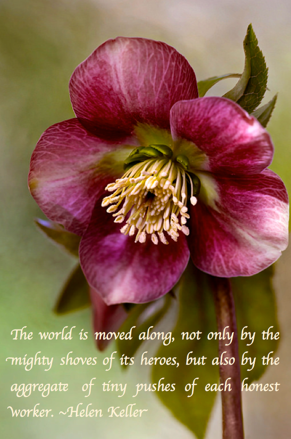 Screen Shot 2017-12-28 at 11.35.35 PM.png