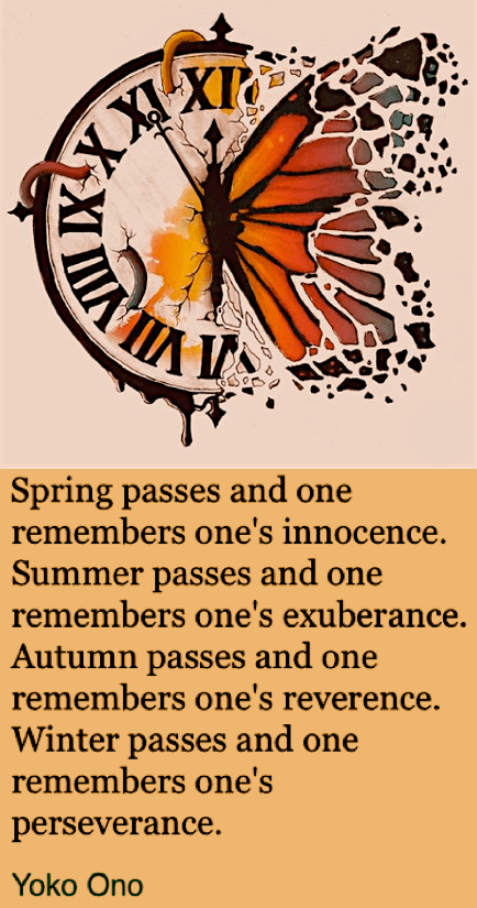 Screen Shot 2017-12-31 at 3.06.34 PM.png