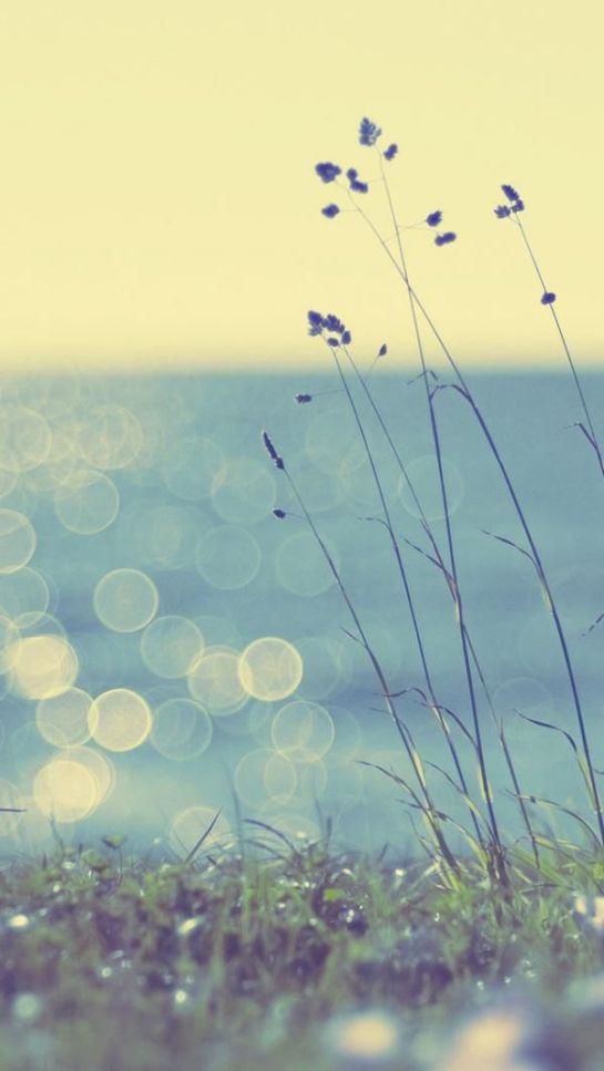 aaea02ca5c48d09ac86a591a21c18460--wallpaper-samsung-hd-wallpaper