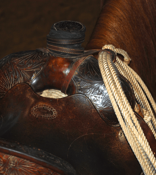 Screen Shot 2018-01-03 at 10.03.25 PM.png