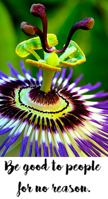 Screen Shot 2018-01-03 at 10.42.35 PM.png